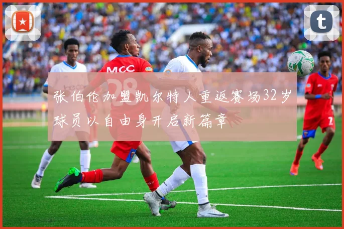 张伯伦加盟凯尔特人重返赛场32岁球员以自由身开启新篇章